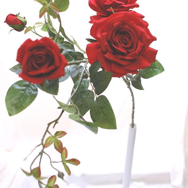 造花の茎は針金が入っているので自由自在に花姿をあやつれます。#薔薇の造花  #赤い薔薇  #薔薇  #アートフラワー