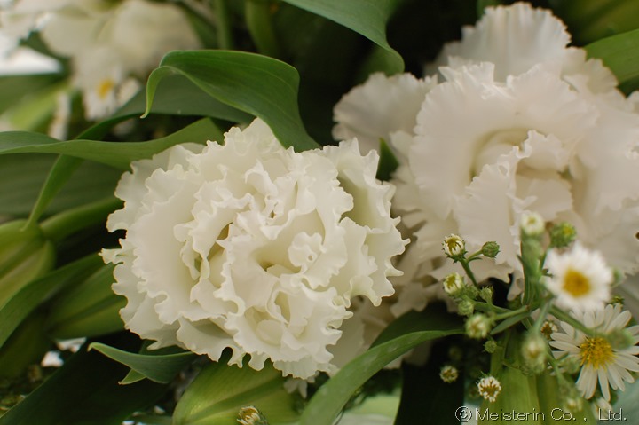 銀婚式の花束・白